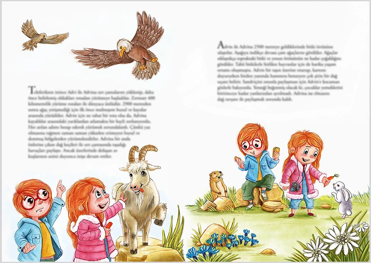 Advi ile Advina İsviçre Macerası — illustration 5