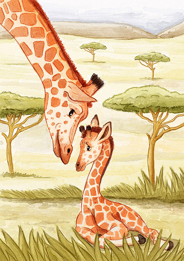 Baby Giraffe — illustration 2