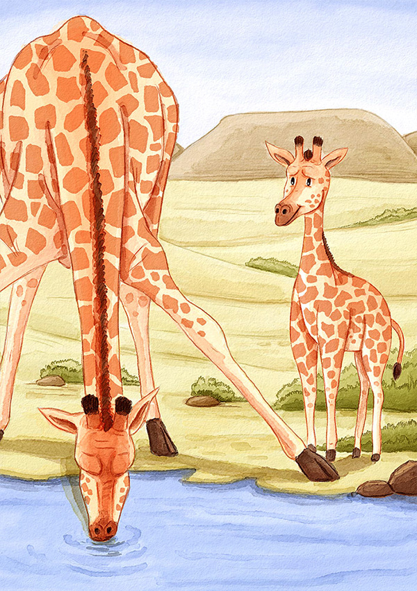 Baby Giraffe — illustration 4