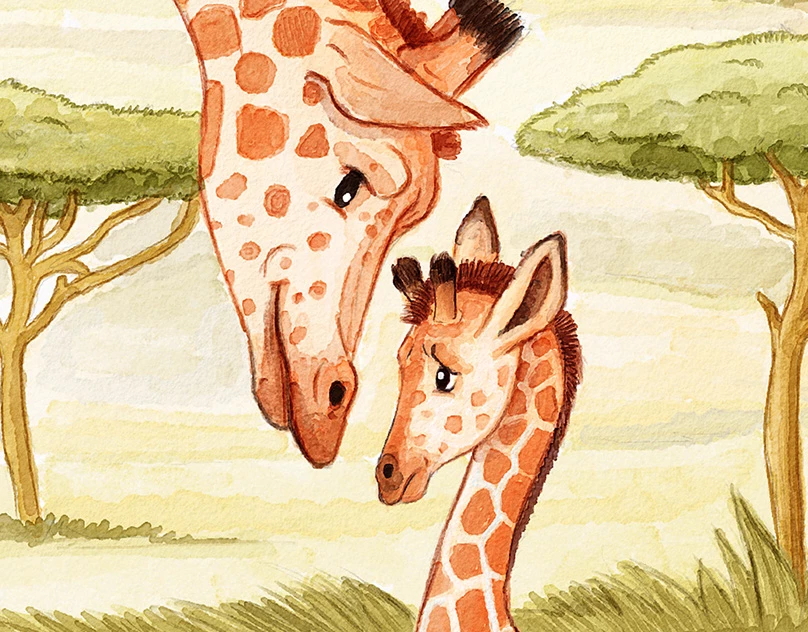 Baby Giraffe